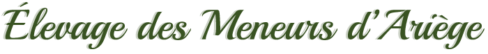 Élevage des Meneurs d'Ariège